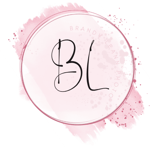 Brandy LeAnn Photo Logo
